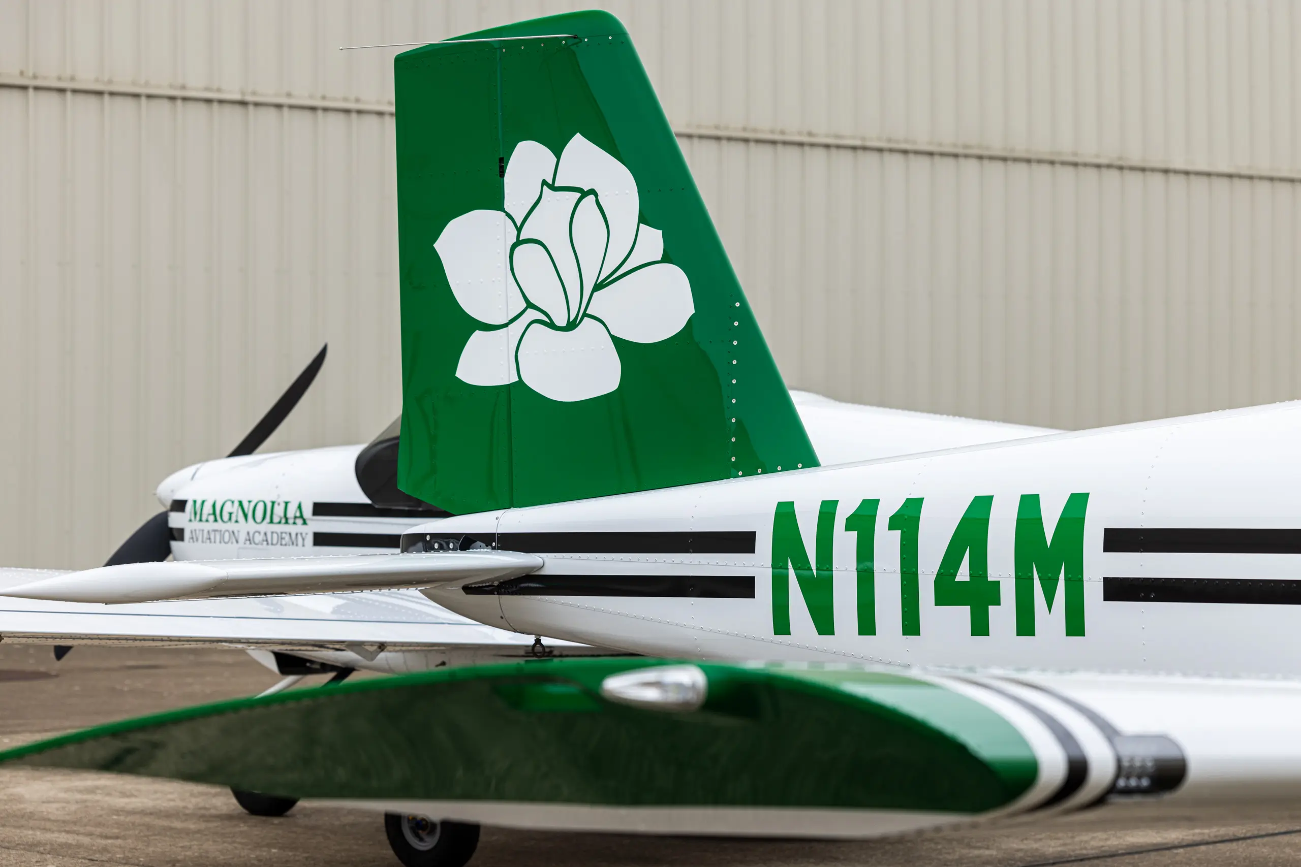 Van's RV-12iS light sport aircraft training view