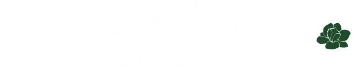 Magnolia Aviation Academy's Logo'